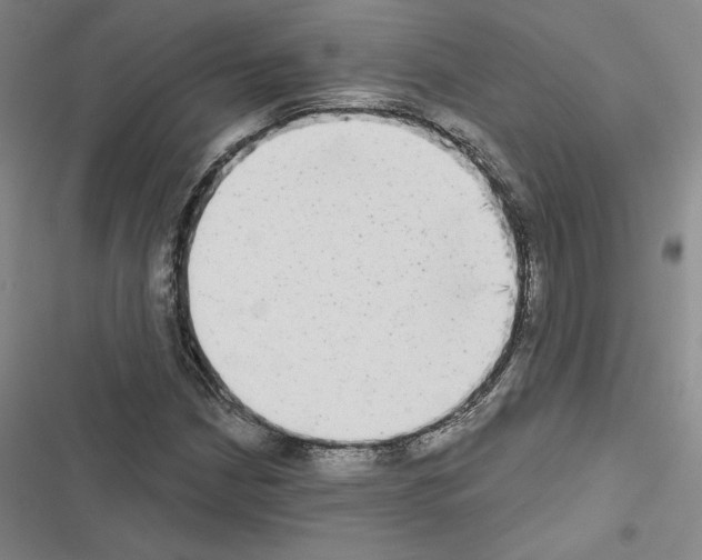 X0000116571210201001211236