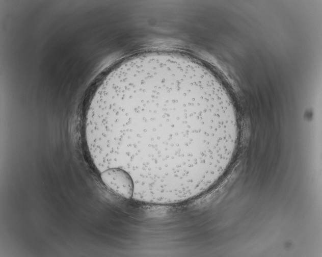 X0000116571211201001211236