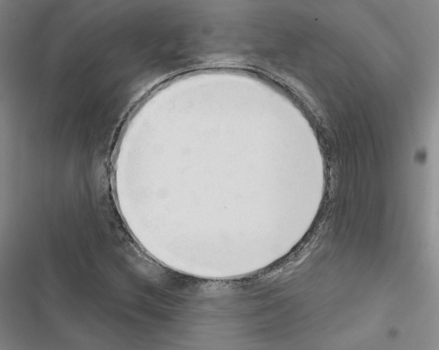 X0000116571212201001211236