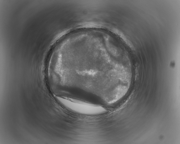 X0000116571213201001211236