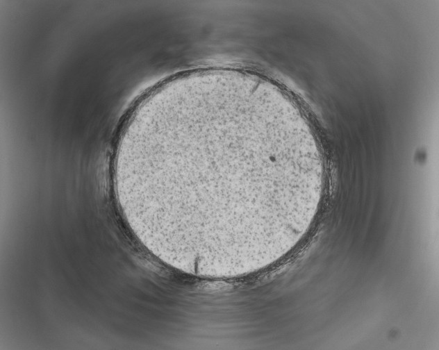 X0000116571214201001211236