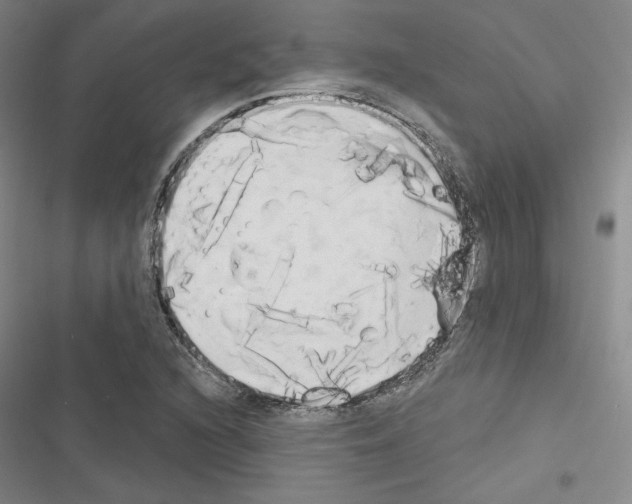 X0000116571216201001211236