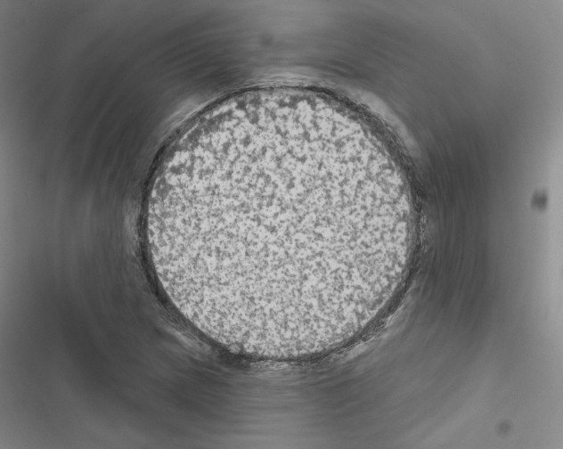 X0000116571217201001211236