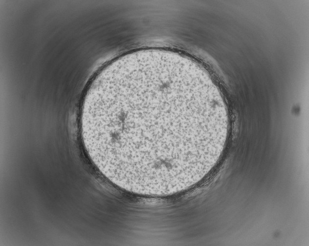 X0000116571218201001211237