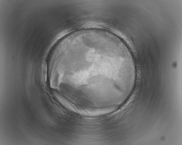 X0000116571219201001211237