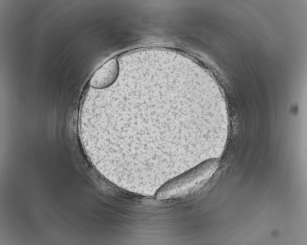 X0000116571220201001211237