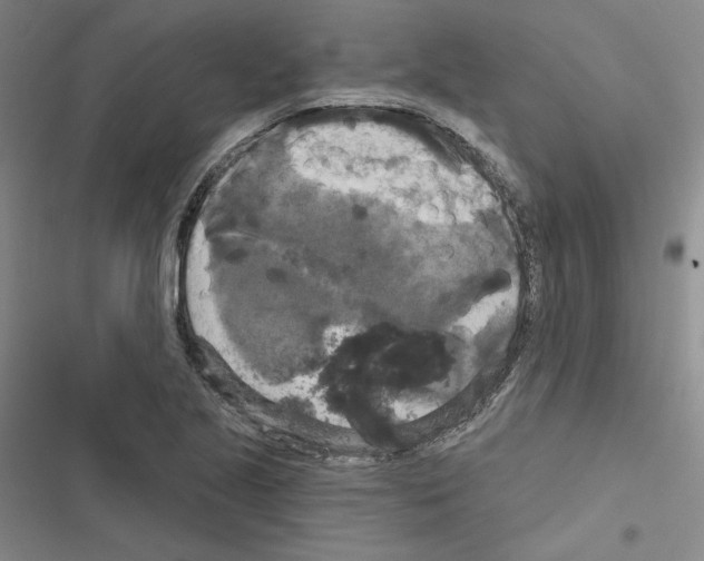 X0000116571221201001211237