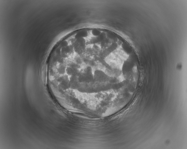 X0000116571223201001211237