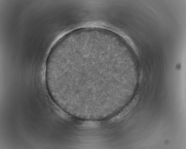 X0000116571224201001211237