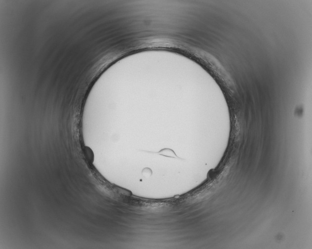 X0000116571225201001211237