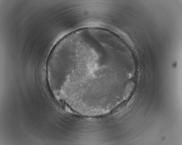 X0000116571226201001211237