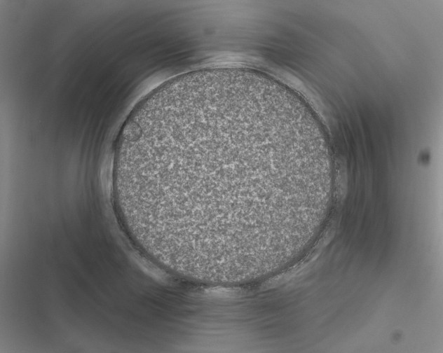 X0000116571227201001211237