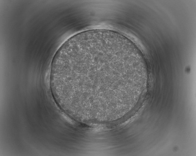 X0000116571228201001211237