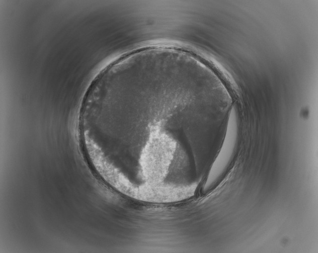 X0000116571229201001211237