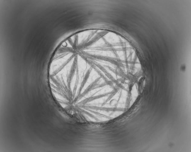 X0000116571230201001211237