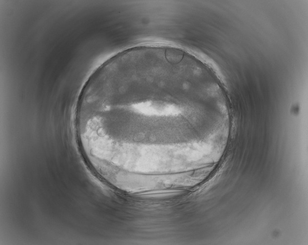 X0000116571231201001211237