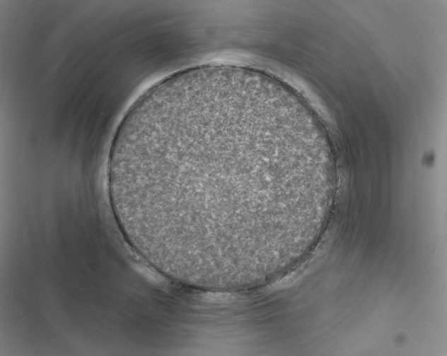 X0000116571232201001211237