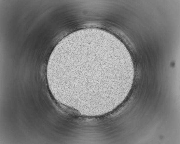 X0000116571233201001211237