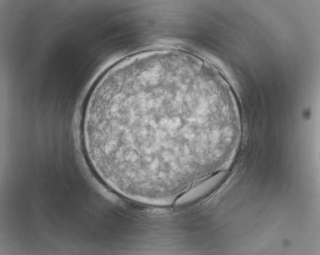 X0000116571235201001211237