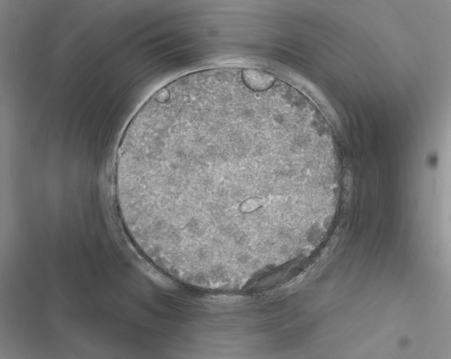 X0000116571236201001211237