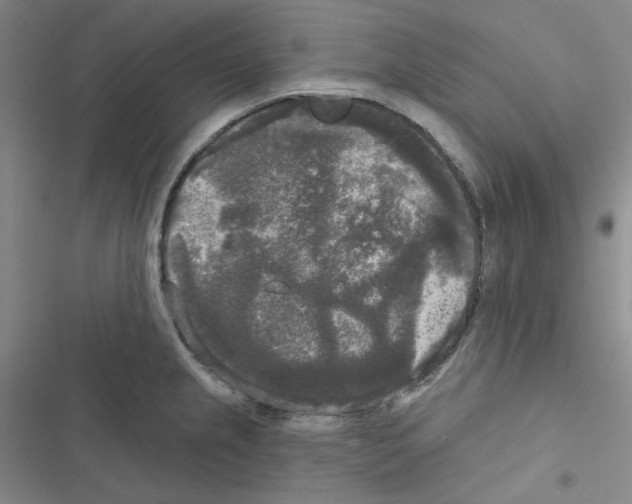 X0000116571237201001211237