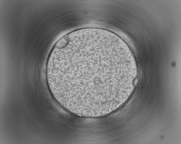 X0000116571238201001211237