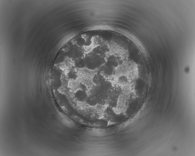 X0000116571241201001211237