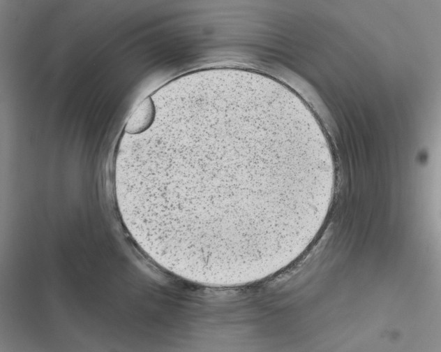 X0000116571242201001211237