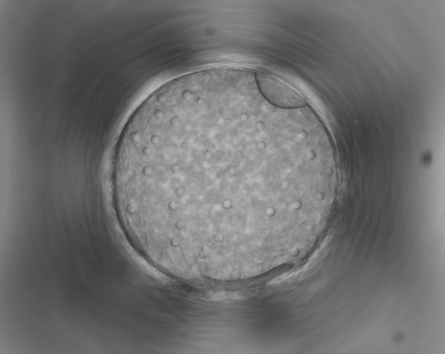 X0000116571243201001211237