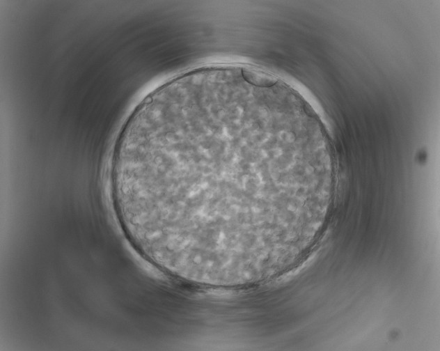 X0000116571245201001211237