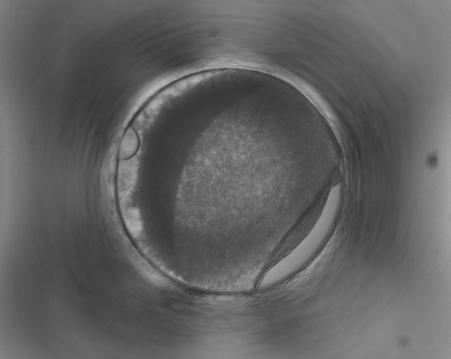 X0000116571246201001211237