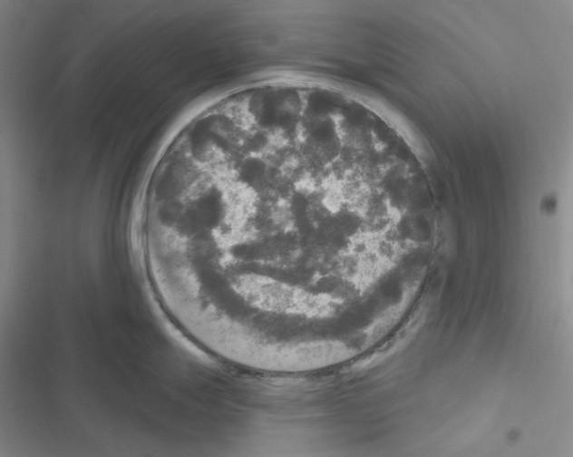 X0000116571247201001211237