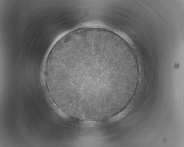 X0000116571248201001211237