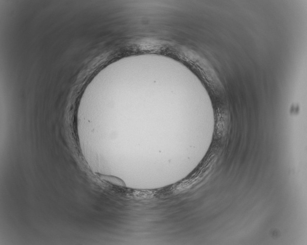 X0000116571249201001211236