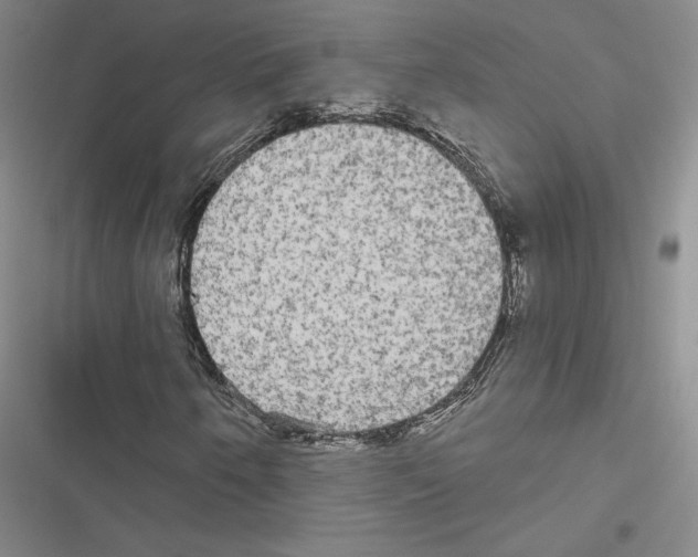 X0000116571250201001211236