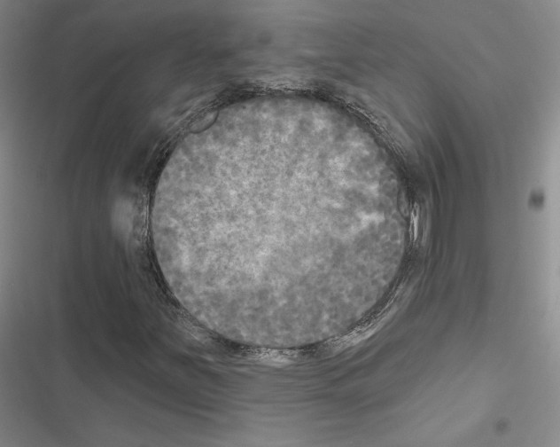 X0000116571251201001211236