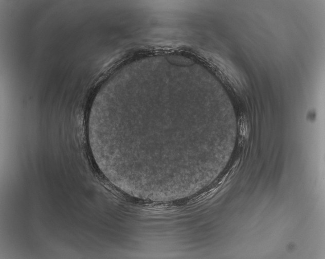 X0000116571252201001211236