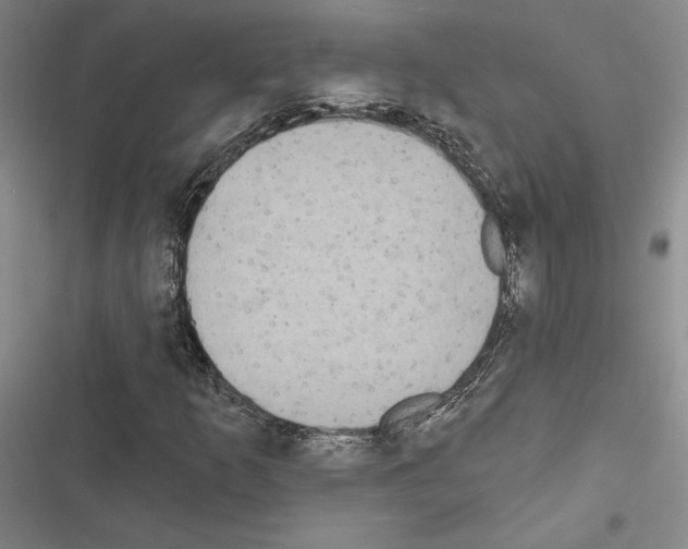 X0000116571253201001211236