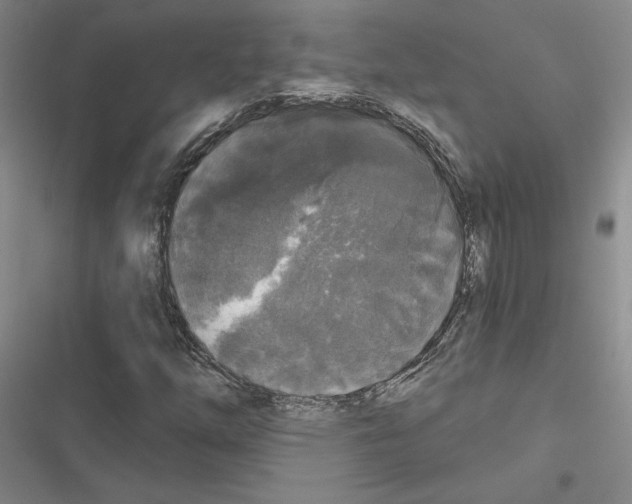 X0000116571254201001211236