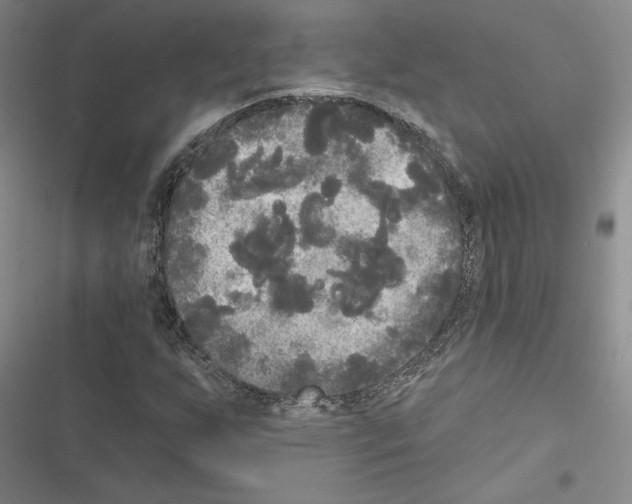 X0000116571255201001211236