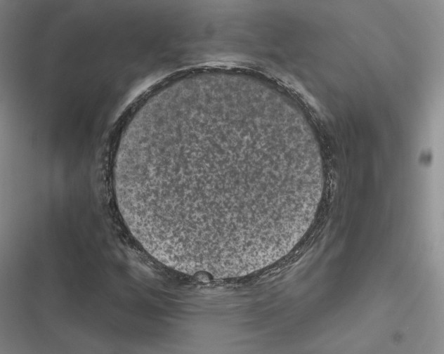 X0000116571256201001211236