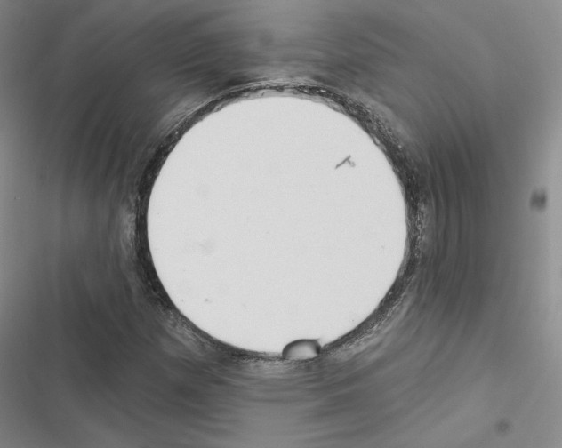 X0000116571257201001211236