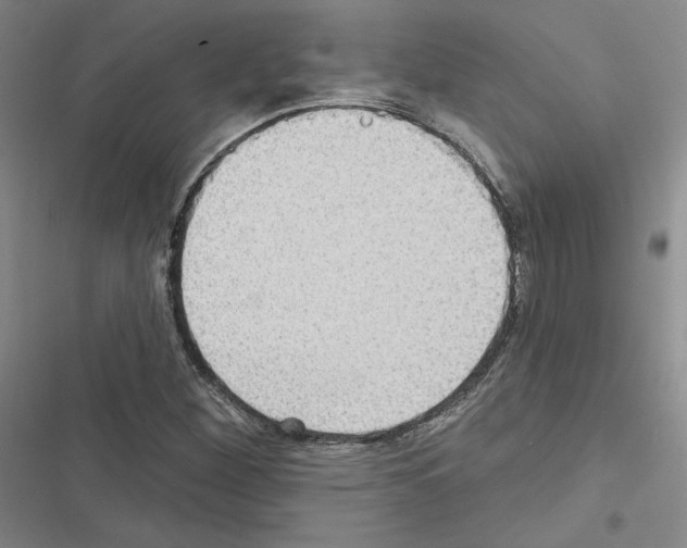 X0000116571260201001211236