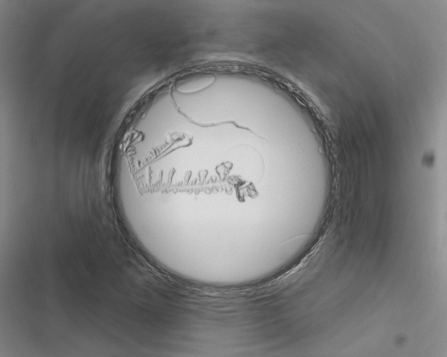 X0000116571261201001211236