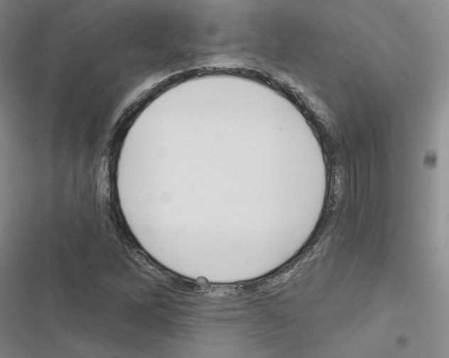 X0000116571262201001211236