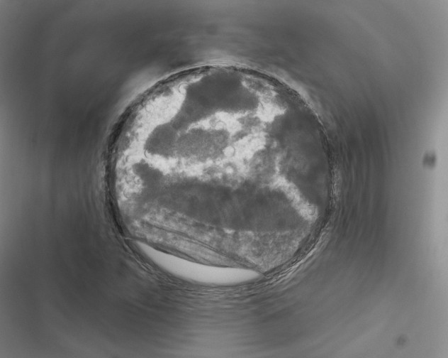 X0000116571263201001211236