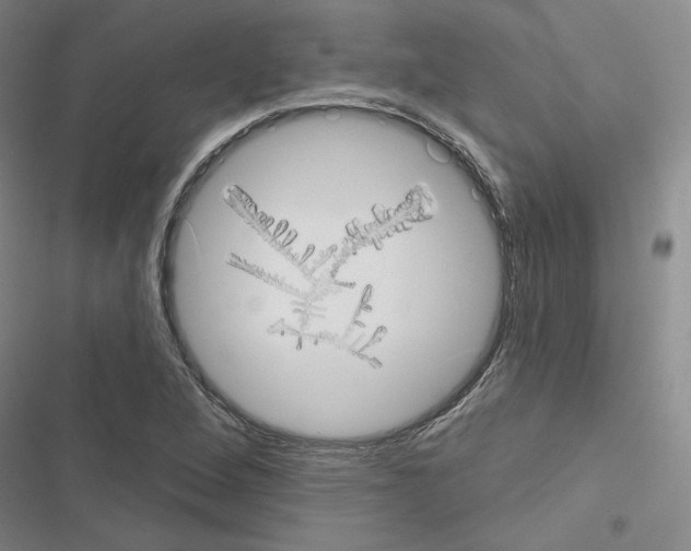 X0000116571264201001211236