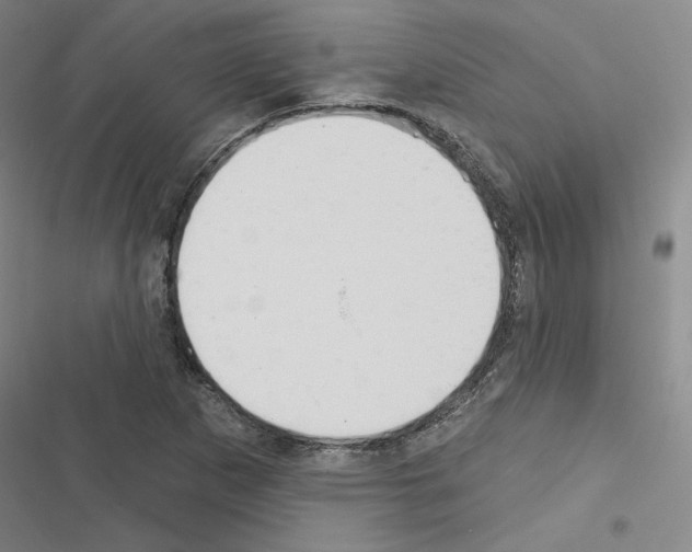 X0000116571265201001211236