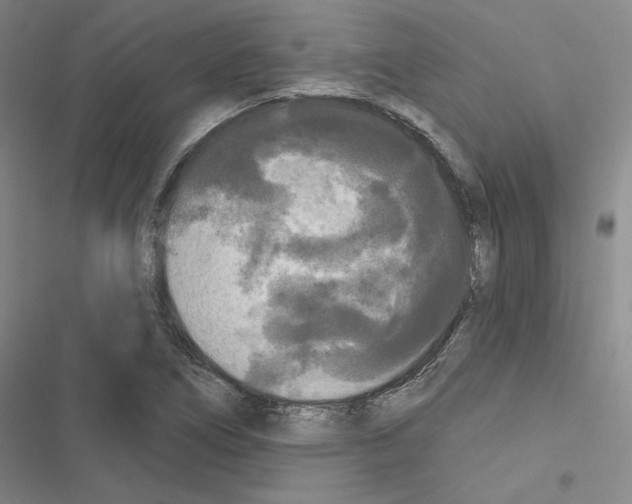 X0000116571266201001211236