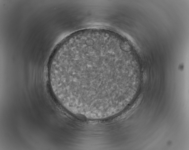 X0000116571267201001211236